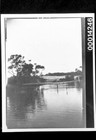 Small wooden jetty across still water