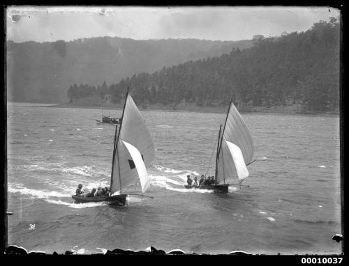 Two 16-foot skiffs sailing on the Hawkesbury river, Sydney