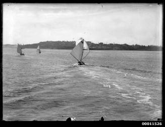 Skiffs sailing on Sydney Harbour