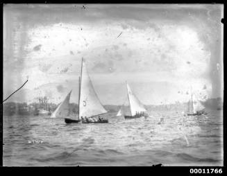 Three sloops sailing in Sydney Harbour