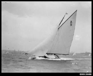 Amateur class yacht, A5, sailing on Sydney Harbour