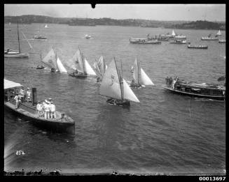 Regatta on Sydney Harbour