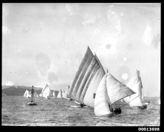 Skiffs racing on Sydney Harbour