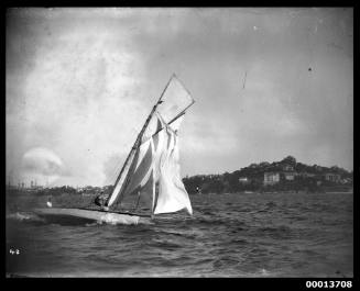 Starboard view of a skiff with fluttering sails on Sydney Harbour