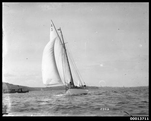 Yacht, possibly the first HOANA, sailing with the Sydney Amateur Sailing Club, Sydney Harbour