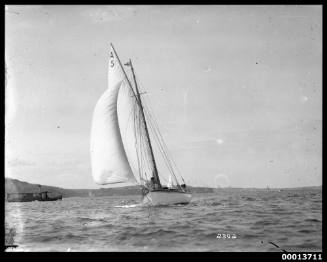 Yacht, possibly the first HOANA, sailing with the Sydney Amateur Sailing Club, Sydney Harbour