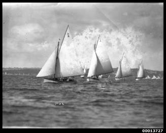 Yachts racing on Sydney Harbour