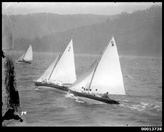 Sailing yachts on Sydney Harbour