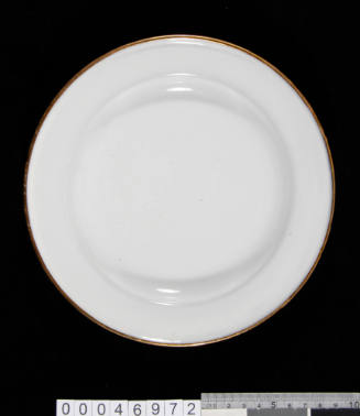 White enamelled dinner plate