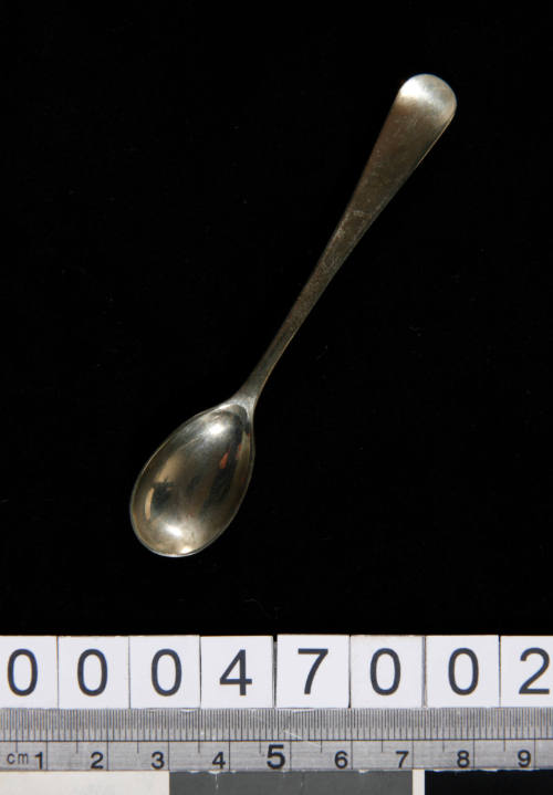 Silver plated salt spoon