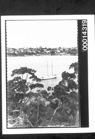 Looking down at yacht SIRIUS moored, trees in the foreground