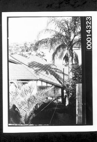 Palm trees and the roof of a home, harbour waters in the distance