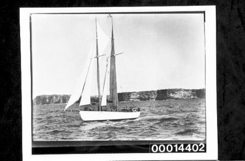 Yacht SIRIUS under sail in Sydney Harbour