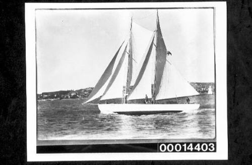 Yacht SIRIUS under sail in Sydney Harbour