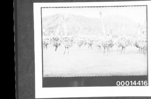 Voyage of the yacht SIRIUS.  Rabaul - dance performance, 8 August 1935