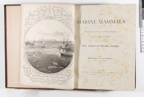 Marine Mammals of the North-West Coast of North America, Described and Illustrated. Together with an account of the American Whale-Fishery.