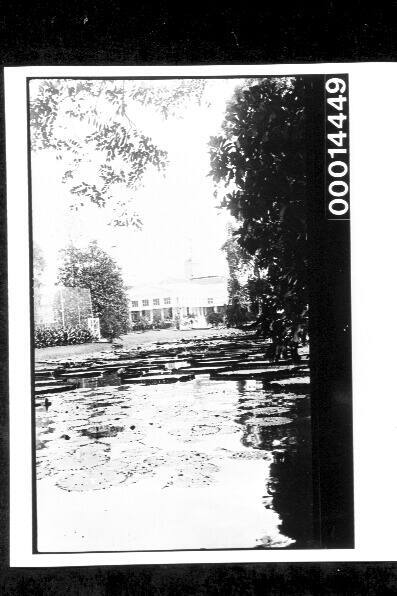 Lake and large building in Jakarta, Indonesia