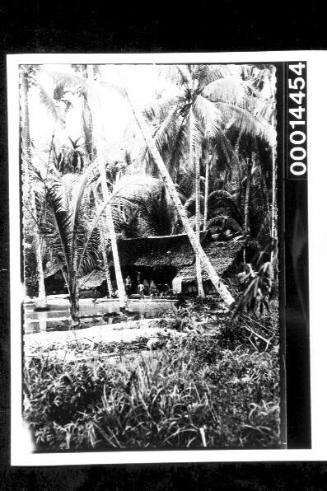 A hut among palm trees in a Penang village, Malaya