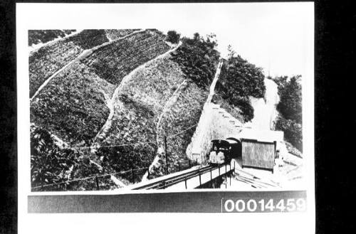 Terraced hillside at George Town, Penang Island, Malaya