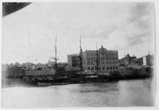 The Petrie Bight reach of the Brisbane River