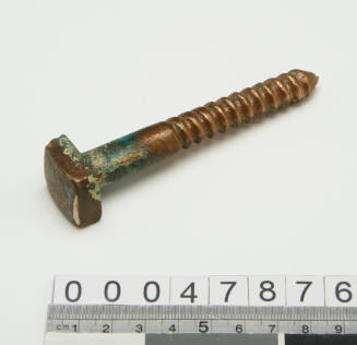 Copper coach screw from the THISTLE