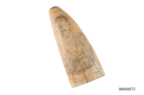 Portrait of a man : scrimshawed whale tooth