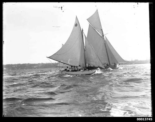 Portside view of two yachts sailing in Sydney Harbour