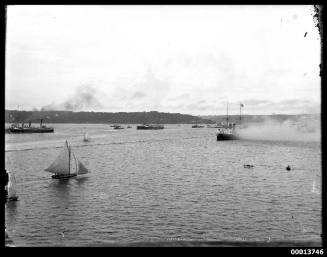 Squadron of Australia's first naval fleet arriving in Sydney Harbour