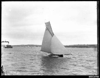 LOTTIE sailing on Sydney Harbour