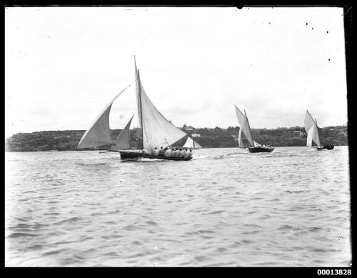 22-footers or 24-footers racing on Sydney Harbour