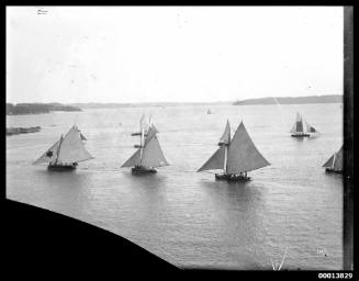 Mixed fleet of open boats racing on Sydney Harbour