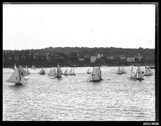 18-footers and 16-foot skiffs sailing near Cremorne Point, Sydney Harbour
