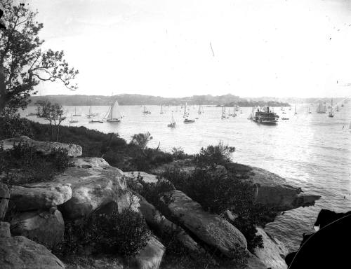 Regatta seen from Steel Point looking towards Shark Island