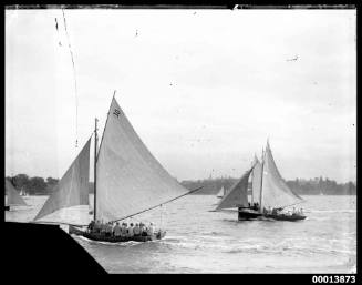 Three 24-footers racing off Farm Cove on Sydney Harbour
