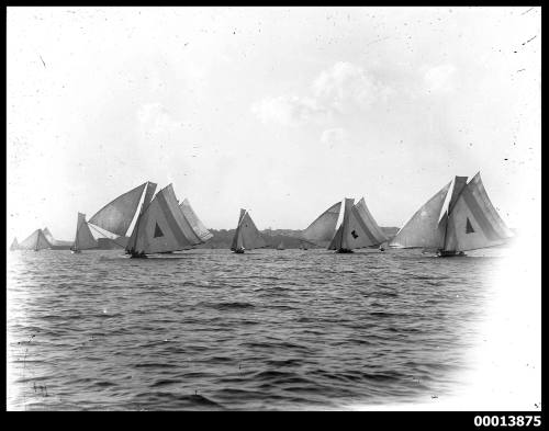 Twenty-two footers on Sydney Harbour