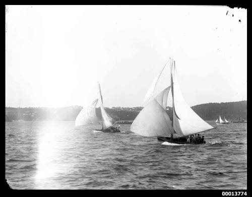 Two skiffs racing on Sydney Harbour