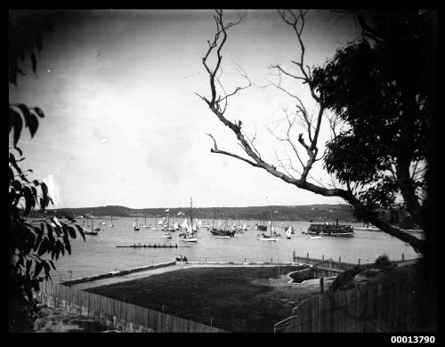 Regatta off Point Piper on Sydney Harbour