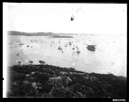 Regatta on Sydney Harbour seen from Steep Point