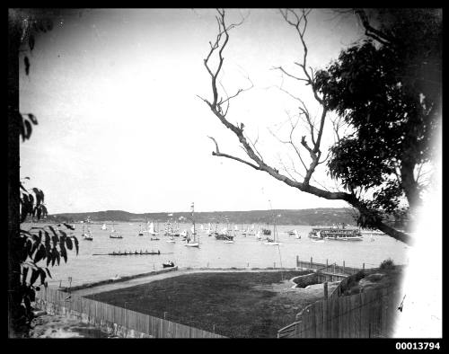 Regatta on Sydney Harbour 