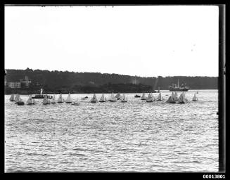 Regatta of sixteen-foot skiffs on Sydney Harbour