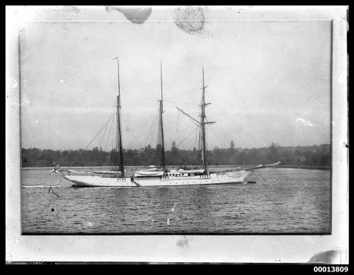 Steam yacht SUNBEAM moored in Farm Cove, Sydney Harbour