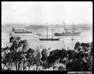 Elevated view of Sydney Harbour during a regatta