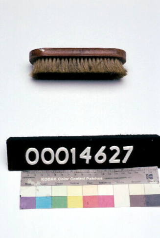 Gentleman's clothes brush