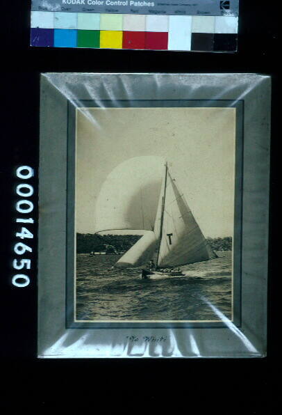 12 foot canvas skiff TE WHITI