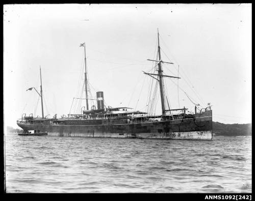 British India Line passenger and cargo ship SS INDIA