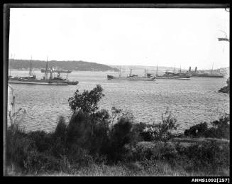 Steamships at anchor from Cremorne Point, Sydney Harbour