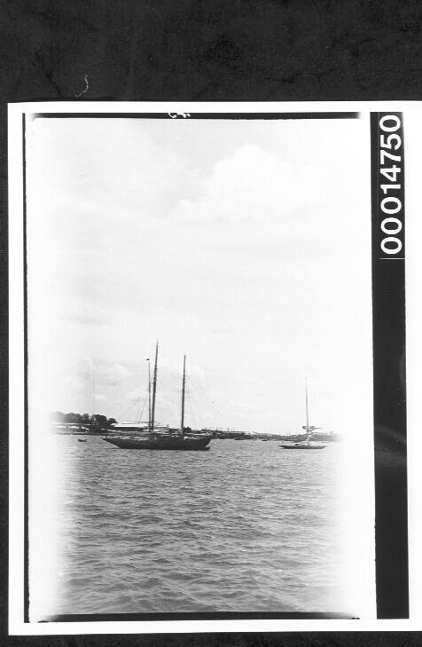 Yachts moored at a harbour on the south coast of England