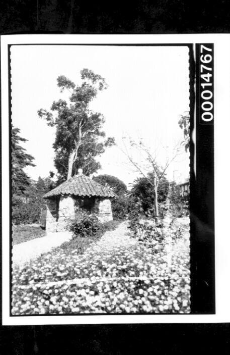 A Spanish garden in bloom