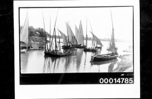 Several sailing vessels on the Nile River in Cairo, Egypt