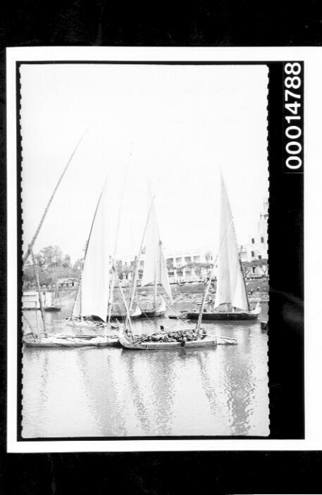 Several sailing vessels on the Nile River in Cairo, Egypt